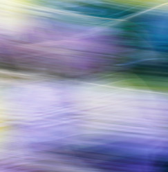 Similar image 1942405