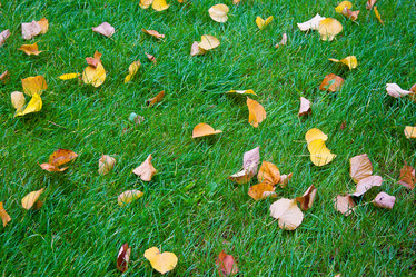 Similar image 1942447