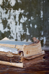 Similar image 1942454