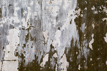 Similar image 1942457