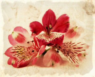 Similar image 1942607