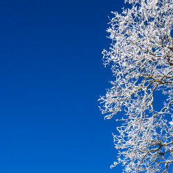 Similar image 1942874