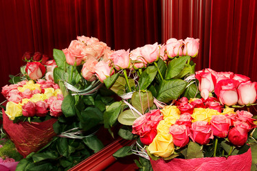 Similar image 1942945