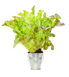 Similar image 1942951