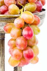 Similar image 1942983