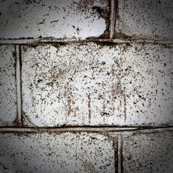 Similar image 1943131