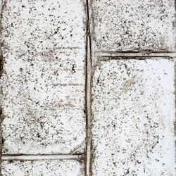 Similar image 1943428