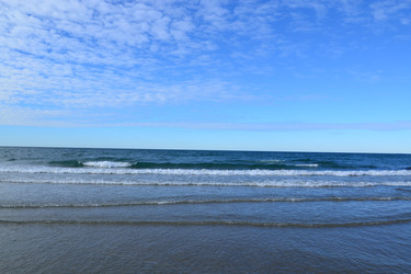 Similar image 1955009