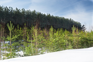 Similar image 1955252