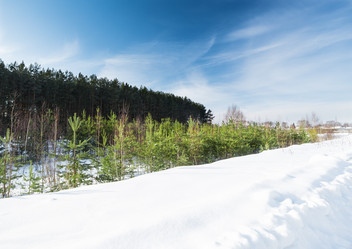 Similar image 1955256