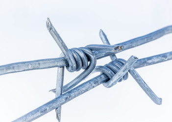 Similar image 1955258