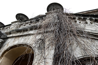 Similar image 1955345