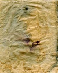 Similar image 1955624