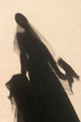 Similar image 1956210