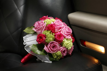 Similar image 1956212