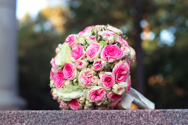 Similar image 1956213