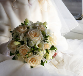 Similar image 1956214