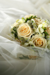 Similar image 1956217