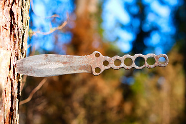 Similar image 1956317