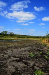 Similar image 1956522