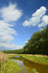 Similar image 1956527