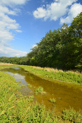 Similar image 1956531