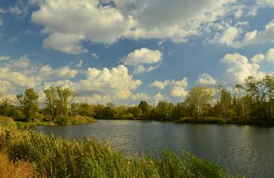 Similar image 1956541