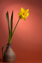 Similar image 1956777