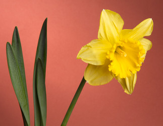 Similar image 1956779