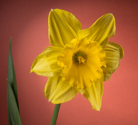 Similar image 1956781