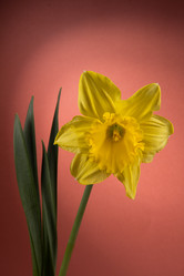 Similar image 1956782