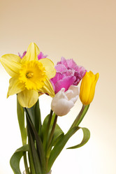 Similar image 1956862