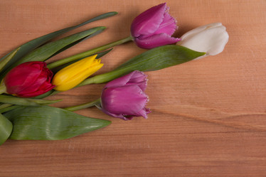 Similar image 1956876