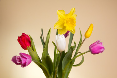 Similar image 1956898