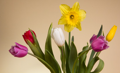 Similar image 1956900