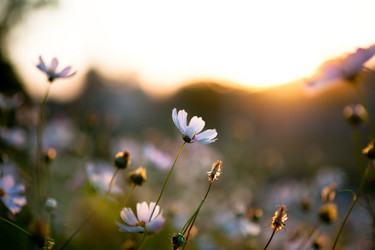 Similar image 1957194