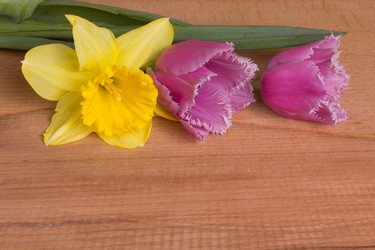 Similar image 1957254