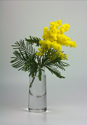 Similar image 1959254