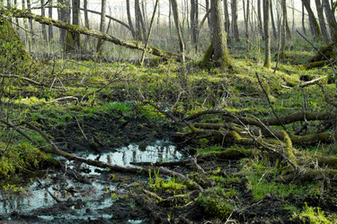 Similar image 1960044