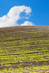 Similar image 1960052