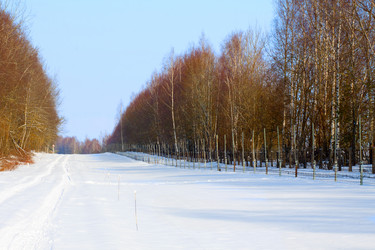 Similar image 1960085