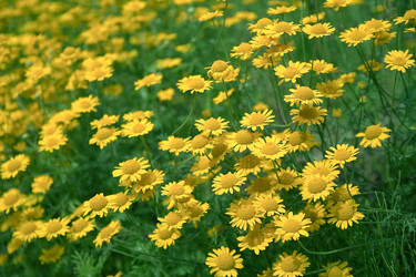 Similar image 1972411