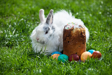 Similar image 1972936