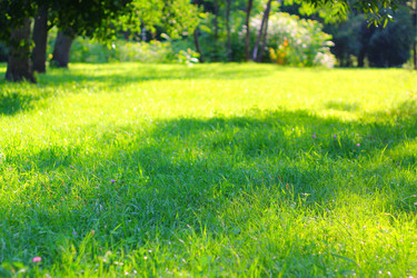 Similar image 1973089