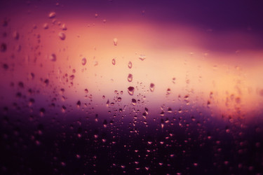 Similar image 1973327