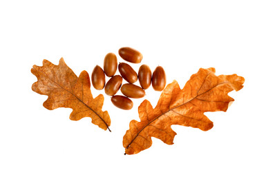 Similar image 1973402