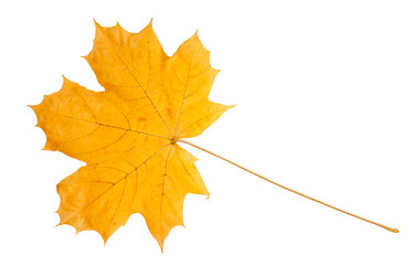 Similar image 1973477