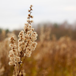 Similar image 1973478