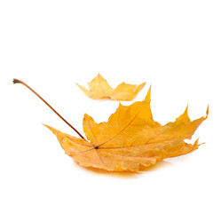 Similar image 1973483