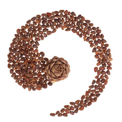 Similar image 1973484